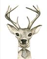 Picture of Baby Deer with Short Tie _GroupedProduct_Rectangle_Portrait_Mini_ _GroupedProduct_Rectangle_Portrait_Unframed_Print_Only_