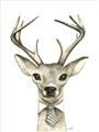 Picture of Baby Deer with Short Tie _GroupedProduct_Rectangle_Portrait_Mini_ _GroupedProduct_Rectangle_Portrait_Unframed_Print_Only_