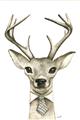 Picture of Baby Deer with Short Tie _GroupedProduct_Rectangle_Portrait_Mini_ _GroupedProduct_Rectangle_Portrait_Unframed_Print_Only_