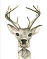 Picture of Baby Deer with Short Tie _GroupedProduct_Rectangle_Portrait_Mini_ _GroupedProduct_Rectangle_Portrait_Unframed_Print_Only_