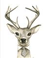 Picture of Baby Deer with Short Tie _GroupedProduct_Rectangle_Portrait_Mini_ _GroupedProduct_Rectangle_Portrait_Unframed_Print_Only_