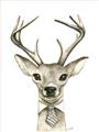 Picture of Baby Deer with Short Tie _GroupedProduct_Rectangle_Portrait_Mini_ _GroupedProduct_Rectangle_Portrait_Unframed_Print_Only_