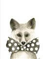 Picture of Baby Fox with Bow Tie _GroupedProduct_Rectangle_Portrait_Mini_ _GroupedProduct_Rectangle_Portrait_Unframed_Print_Only_