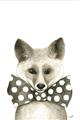 Picture of Baby Fox with Bow Tie _GroupedProduct_Rectangle_Portrait_Mini_ _GroupedProduct_Rectangle_Portrait_Unframed_Print_Only_
