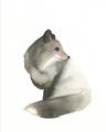 Picture of Brown Fox _GroupedProduct_Rectangle_Portrait_Mini_ _GroupedProduct_Rectangle_Portrait_Unframed_Print_Only_