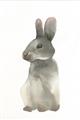 Picture of Brown Bunny _GroupedProduct_Rectangle_Portrait_Mini_ _GroupedProduct_Rectangle_Portrait_Unframed_Print_Only_