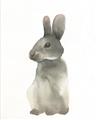 Picture of Brown Bunny _GroupedProduct_Rectangle_Portrait_Mini_ _GroupedProduct_Rectangle_Portrait_Unframed_Print_Only_