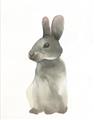 Picture of Brown Bunny _GroupedProduct_Rectangle_Portrait_Mini_ _GroupedProduct_Rectangle_Portrait_Unframed_Print_Only_