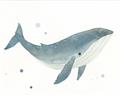 Picture of Blue Whale _GroupedProduct_Rectangle_Landscape_Mini_ _GroupedProduct_Rectangle_Landscape_Unframed_Print_Only_