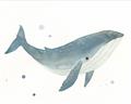 Picture of Blue Whale _GroupedProduct_Rectangle_Landscape_Mini_ _GroupedProduct_Rectangle_Landscape_Unframed_Print_Only_