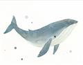 Picture of Blue Whale _GroupedProduct_Rectangle_Landscape_Mini_ _GroupedProduct_Rectangle_Landscape_Unframed_Print_Only_