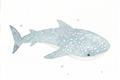 Picture of Blue Whale lll _GroupedProduct_Rectangle_Landscape_Mini_ _GroupedProduct_Rectangle_Landscape_Unframed_Print_Only_