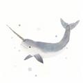 Picture of Narwhal _GroupedProduct_Square_Mini_ _GroupedProduct_Square_Unframed_Print_Only_