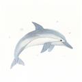 Picture of Dolphin _GroupedProduct_Square_Mini_ _GroupedProduct_Square_Unframed_Print_Only_