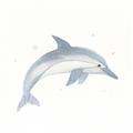 Picture of Dolphin _GroupedProduct_Square_Mini_ _GroupedProduct_Square_Unframed_Print_Only_