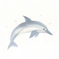 Picture of Dolphin _GroupedProduct_Square_Mini_ _GroupedProduct_Square_Unframed_Print_Only_