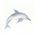 Picture of Dolphin _GroupedProduct_Square_Mini_ _GroupedProduct_Square_Unframed_Print_Only_