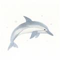 Picture of Dolphin _GroupedProduct_Square_Mini_ _GroupedProduct_Square_Unframed_Print_Only_