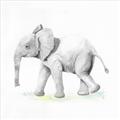 Picture of Jungle Elephant _GroupedProduct_Square_Mini_ _GroupedProduct_Square_Unframed_Print_Only_