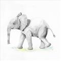 Picture of Jungle Elephant _GroupedProduct_Square_Mini_ _GroupedProduct_Square_Unframed_Print_Only_