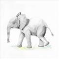 Picture of Jungle Elephant _GroupedProduct_Square_Mini_ _GroupedProduct_Square_Unframed_Print_Only_