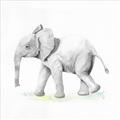 Picture of Jungle Elephant _GroupedProduct_Square_Mini_ _GroupedProduct_Square_Unframed_Print_Only_