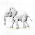 Picture of Jungle Elephant _GroupedProduct_Square_Mini_ _GroupedProduct_Square_Unframed_Print_Only_