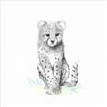 Picture of Jungle Cat _GroupedProduct_Square_Mini_ _GroupedProduct_Square_Unframed_Print_Only_