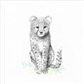 Picture of Jungle Cat _GroupedProduct_Square_Mini_ _GroupedProduct_Square_Unframed_Print_Only_