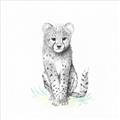 Picture of Jungle Cat _GroupedProduct_Square_Mini_ _GroupedProduct_Square_Unframed_Print_Only_
