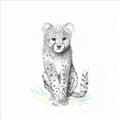 Picture of Jungle Cat _GroupedProduct_Square_Mini_ _GroupedProduct_Square_Unframed_Print_Only_