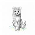 Picture of Jungle Cat _GroupedProduct_Square_Mini_ _GroupedProduct_Square_Unframed_Print_Only_