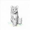 Picture of Jungle Cat _GroupedProduct_Square_Mini_ _GroupedProduct_Square_Unframed_Print_Only_