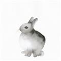 Picture of Bunny II-M _GroupedProduct_Square_Mini_ _GroupedProduct_Square_Unframed_Print_Only_