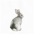 Picture of Bunny I-M _GroupedProduct_Square_Mini_ _GroupedProduct_Square_Unframed_Print_Only_