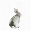 Picture of Bunny I-M _GroupedProduct_Square_Mini_ _GroupedProduct_Square_Unframed_Print_Only_