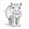 Picture of Tiny Hippo _GroupedProduct_Square_Mini_ _GroupedProduct_Square_Unframed_Print_Only_