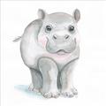 Picture of Tiny Hippo _GroupedProduct_Square_Mini_ _GroupedProduct_Square_Unframed_Print_Only_