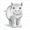 Picture of Tiny Hippo _GroupedProduct_Square_Mini_ _GroupedProduct_Square_Unframed_Print_Only_