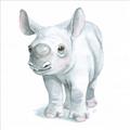 Picture of Tiny Rhino _GroupedProduct_Square_Mini_ _GroupedProduct_Square_Unframed_Print_Only_