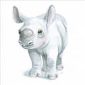Picture of Tiny Rhino _GroupedProduct_Square_Mini_ _GroupedProduct_Square_Unframed_Print_Only_