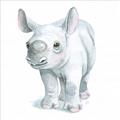 Picture of Tiny Rhino _GroupedProduct_Square_Mini_ _GroupedProduct_Square_Unframed_Print_Only_