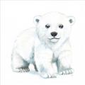 Picture of Tiny Polar Bear _GroupedProduct_Square_Mini_ _GroupedProduct_Square_Unframed_Print_Only_