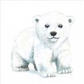 Picture of Tiny Polar Bear _GroupedProduct_Square_Mini_ _GroupedProduct_Square_Unframed_Print_Only_