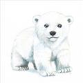 Picture of Tiny Polar Bear _GroupedProduct_Square_Mini_ _GroupedProduct_Square_Unframed_Print_Only_