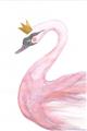 Picture of Pink Swan Queen  _GroupedProduct_Rectangle_Portrait_Mini_ _GroupedProduct_Rectangle_Portrait_Unframed_Print_Only_
