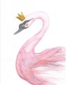 Picture of Pink Swan Queen  _GroupedProduct_Rectangle_Portrait_Mini_ _GroupedProduct_Rectangle_Portrait_Unframed_Print_Only_