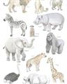 Picture of Zoo  Life _GroupedProduct_Rectangle_Portrait_Unframed_Print_Only_