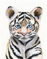 Picture of Tiger Babe _GroupedProduct_Rectangle_Portrait_Mini_ _GroupedProduct_Rectangle_Portrait_Unframed_Print_Only_