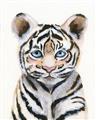 Picture of Tiger Babe _GroupedProduct_Rectangle_Portrait_Mini_ _GroupedProduct_Rectangle_Portrait_Unframed_Print_Only_